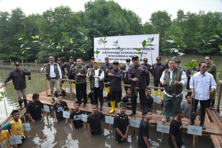 Komisi IV Dorong Rehabilitasi Mangrove di Kepri, Serukan Kolaborasi Nasional dan Lokal