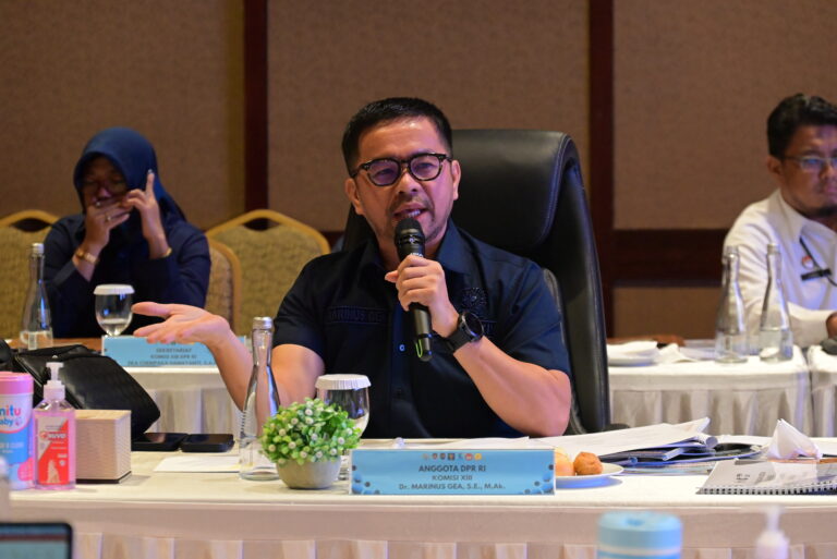 Marinus Gea: Jangan Sampai KemenHAM dan Komnas HAM Berebut Lahan!